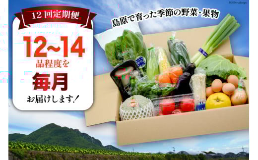 BF059 【12回定期便】旬の野菜・フルーツ (12〜14品目)・卵 (6個) おまかせ セット【 野菜 果物 卵 やさい くだもの 果物 タマゴ たまご 詰め合わせ 江戸屋 長崎県 島原市 】