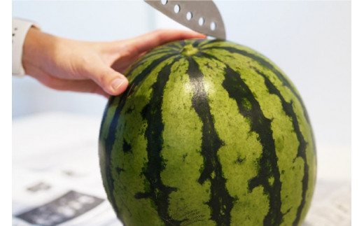 BF164【令和7年度出荷分】秋季出荷！大玉スイカ～羅皇（ラオウ）～（Lサイズ6kg以上×2玉入）[先行予約 数量限定 すいか スイカ 西瓜 フルーツ 果物 長崎 長崎県 島原市]