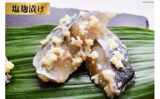 BG048サワラの漬け3種セット 計30切 ( 西京漬け & 金山寺漬け & 塩麹漬け 各10切 ）【おかず 詰め合わせ 魚 鰆 さわら サワラ さごし サゴシ 丸政水産 長崎県 島原市】