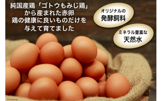 BI038 6回 定期便 たっぷり！ 雲仙たまごLサイズ 80個 (75個＋割れ補償5個入り) [ 卵 たまご 生卵 鶏卵 赤卵 玉子 新鮮 塚ちゃん雲仙たまご村 長崎県 島原市 ]