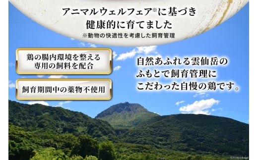 BI083 鶏肉 雲仙しまばら鶏 もも肉 260g 12袋 計3.12kg [ 小分け 鶏もも肉 若鶏 とりもも肉 とりもも 肉 チキン 真空パック 大光食品 長崎県 島原市 ]