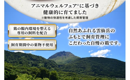 BI085 鶏肉 雲仙しまばら鶏 もも肉 260g むね肉 300g 各5袋 計2.8kg [ 小分け 鶏もも肉 鶏むね肉 若鶏 とりもも肉 とりむね肉 とりもも とりむね 肉 チキン 真空パック セット 大光食品 長崎県 島原市 ]