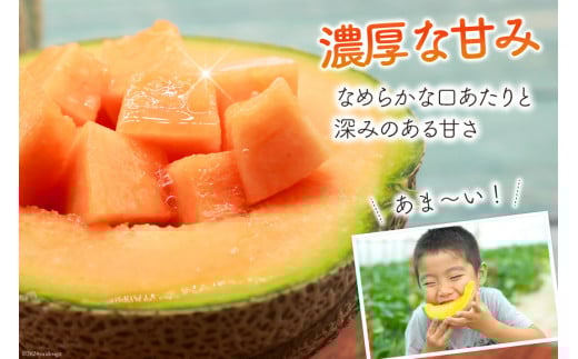 BI114 【令和8年度出荷分】 島原赤肉メロン「マルセイユ」（2L×4玉） [ メロン めろん マルセイユ 赤肉 フルーツ 果物 小原商店 長崎県 島原市 ]