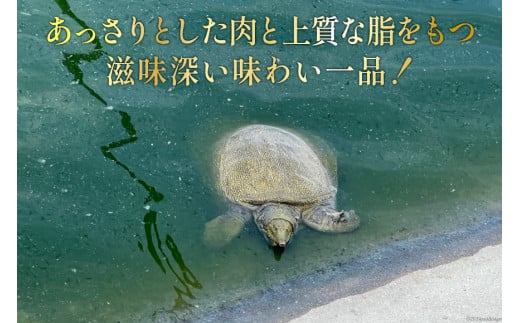 CI116 極上! スッポン鍋 セット 4～5人前 [スッポン すっぽん 鍋 すっぽん鍋]