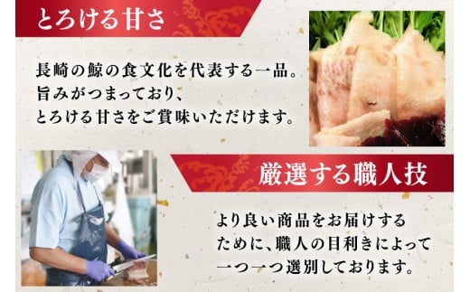 BJ144 すえひろ ブロック 100g×5個セット 計500g [ くじら クジラ 鯨肉 湯引き 簡単調理 おつまみ 肴 珍味 小分け 日野商店 長崎県 島原市 ]