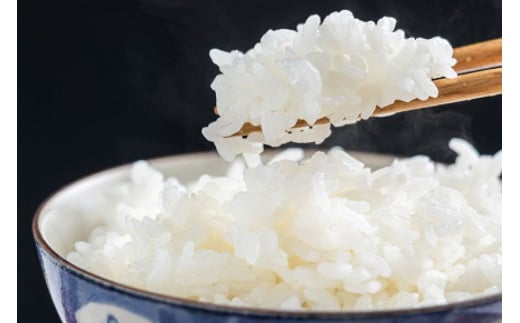 CA023 特別栽培米ながさきにこまる[ 白米 精米 ごはん ご飯 こめ おこめ もちもち おにぎり 粘り おいしい 長崎県産 長崎県産米 長崎にこまる 長崎県 島原市 ]