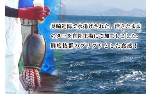 CB044 長崎産 地だこ2尾(約1.4kg)
