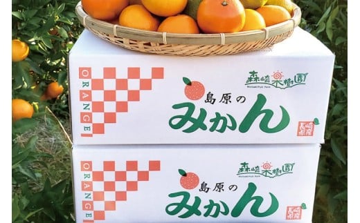 CC003 森崎果樹園のこだわり旬のみかんセット 10kg [みかん ミカン 旬 10キロ 長崎県 島原市]