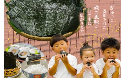 CD195 有明海産 贅卓焼のり（旬） 全型30枚（10枚×3袋）