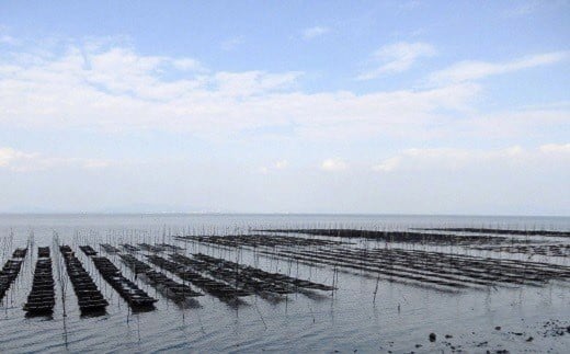 CE195【訳あり】マルマサの「初摘み」焼のり 全型４０枚（有明海産）