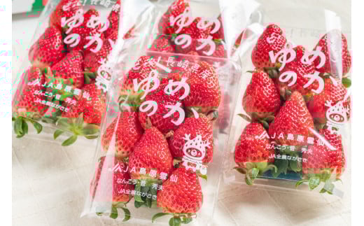 【期間限定発送】CF106 長崎県知事賞受賞【 厳選 いちご 】「 ゆめのか （2L～3L）」 260g × 4パック ＜12月までにお届け＞