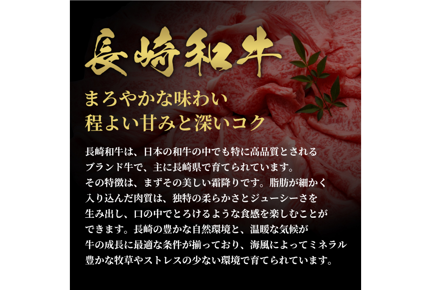 AI276 長崎和牛 半頭分買い 一括納品 [ 肉 和牛 牛肉 Giverichホールディングス 長崎県 島原市 ]