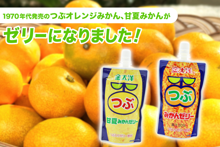 AJ236 金太洋 つぶみかんゼリー 2個 つぶ甘夏みかんゼリー 1個 [株式会社島原観光ビューロー 長崎県 島原市] みかん オレンジ ゼリー おやつ つぶつぶ ゼリージュース