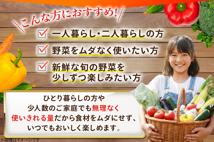 AJ313 野菜セット 5～7品目 しそジュース付き [ 野菜 詰め合わせ 少人数用 一人暮らし 二人暮らし シソジュース 紫蘇ジュース 長崎県 島原市 ]