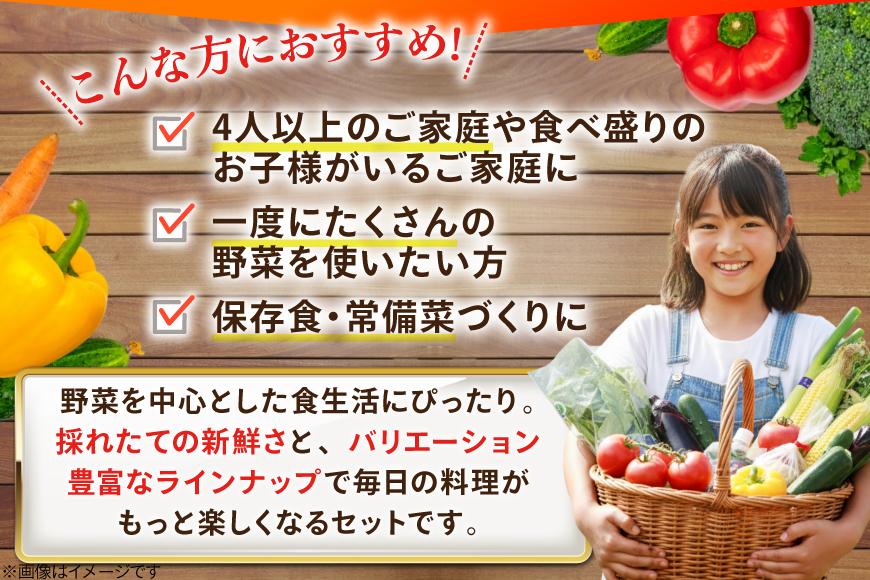 AJ315 季節の野菜・果物セット 13～15品 しそジュース付き [ 野菜 詰合せ 長崎県 島原市 ]