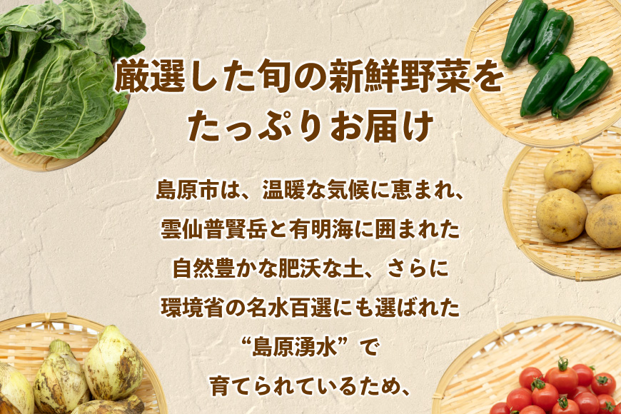 AJ433 【3回定期便】【10～12月限定出荷】こむたの旬の野菜 (8～10品目) おまかせMセット [ 野菜 やさい 旬 定期便 野菜セット 種類 人気 オススメ 新鮮 詰め合わせ 詰合せ こむた 小無田 青果 長崎県 島原市 ]
