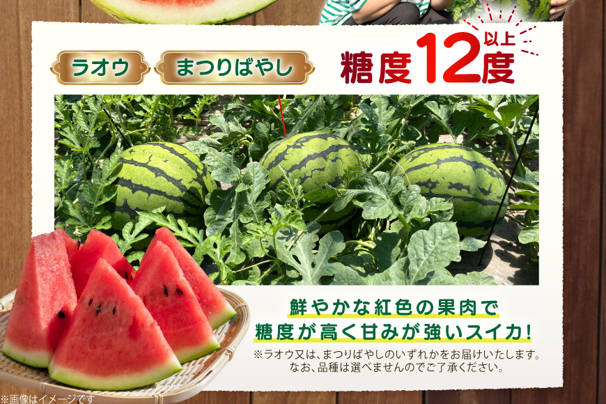 AJ455 【令和8年度出荷分】 湧水の里 モリファーム 赤玉 スイカ ラオウ まつりばやし 3L 8～10kg 1玉 [ 先行予約 数量限定 すいか スイカ 西瓜 フルーツ 果物 長崎 長崎県 島原市 ]