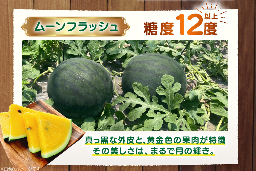 AJ457 【令和8年度出荷分】 湧水の里 モリファーム 大玉スイカ ムーンフラッシュ 2L 7～8kg 1玉 [ 先行予約 数量限定 すいか スイカ 西瓜 フルーツ 果物 長崎 長崎県 島原市 ]