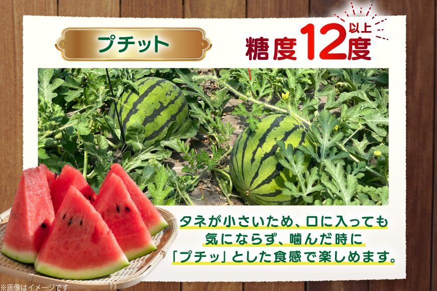 AJ459 【令和8年度出荷分】 湧水の里 モリファーム 中玉スイカ プチット M～L 5～7kg 1玉 [ 先行予約 数量限定 中玉 スイカ 西瓜 フルーツ 果物 長崎 長崎県 島原市 ]