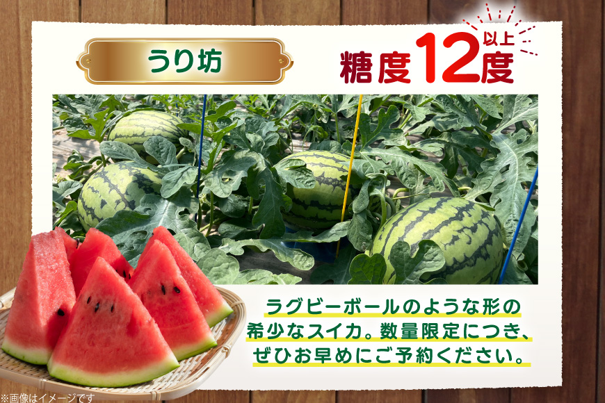 AJ460 【令和8年度出荷分】 湧水の里 モリファーム 小玉スイカ うり坊 3L 4kg 1玉 [ 先行予約 数量限定 小玉 うり坊 スイカ 西瓜 フルーツ 果物 長崎 長崎県 島原市 ]