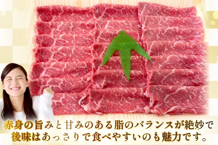 AJ553 【3回定期便】長崎和牛 もも スライス 約500g [ 肉 牛肉 和牛 高級 おいしい ステーキ肉 まるしん商会 黒牛 長崎県 島原市 ]