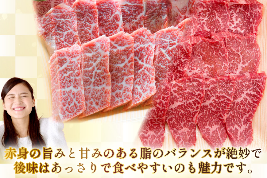 AJ572 【6回定期便】長崎和牛 焼肉セット 計約1kg バラ 霜降り(500g)・もも(500g) [ 肉 牛肉 和牛 高級 おいしい ステーキ肉 まるしん商会 黒牛 長崎県 島原市 ]