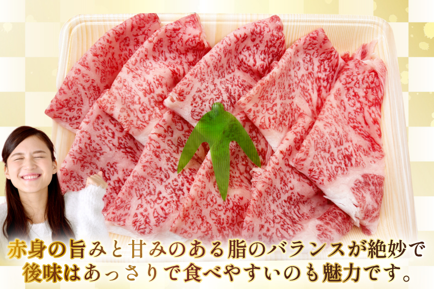 AJ585 【12回定期便】長崎和牛 リブロース しゃぶしゃぶ用 約500g [ 肉 牛肉 和牛 高級 おいしい ステーキ肉 まるしん商会 黒牛 長崎県 島原市 ]