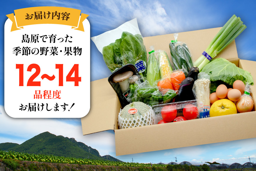 BF059 【12回定期便】旬の野菜・フルーツ (12〜14品目)・卵 (6個) おまかせ セット【 野菜 果物 卵 やさい くだもの 果物 タマゴ たまご 詰め合わせ 江戸屋 長崎県 島原市 】