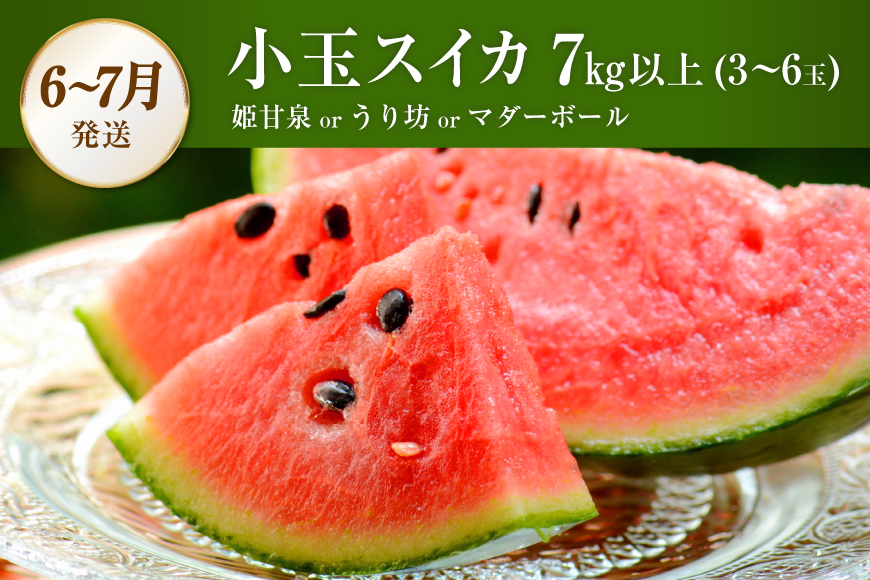 BG083【全4回】厳選！島原の人気フルーツ定期便