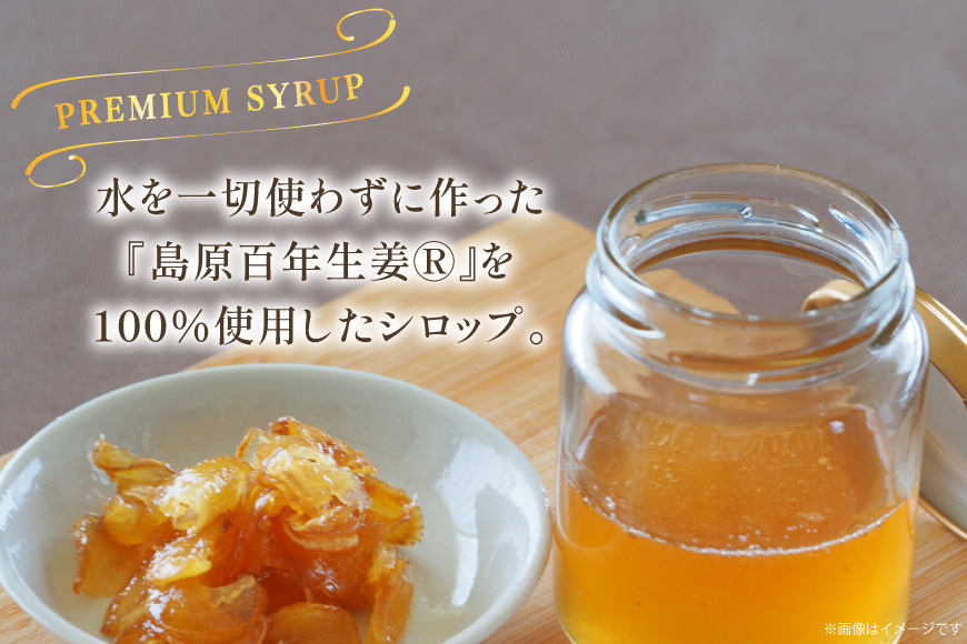 BI203 酢しょうが 230g ジンジャーシロップ 250g 計2本 480g [ 生姜 しょうが ショウガ ジンジャーエール シロップ セット 調味料 酢 松本農園 人作 長崎県 島原市 ]