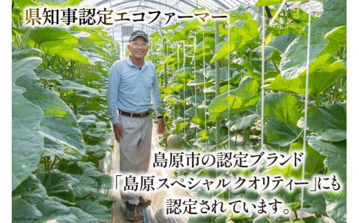 【期間限定発送】AB053その道一筋の生産者がじっくり丁寧に育てた　マスクメロン特選大玉桐箱