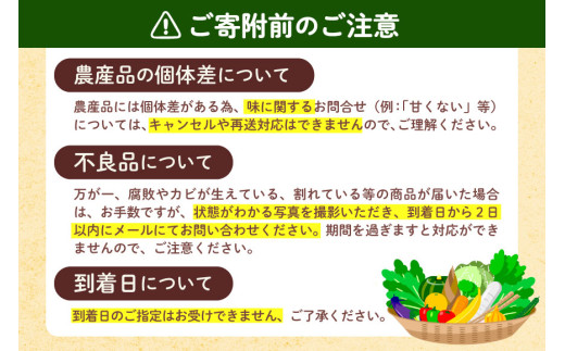 AF220【令和8年度出荷分】果汁たっぷり！川田さん家の温室栽培びわ 500g [びわ ビワ フルーツ 果物 長崎県 島原市]