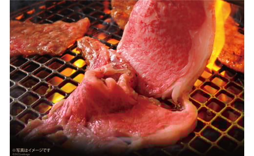 AG116長崎和牛 A5ランク 牛ロースステーキ 450g（225g×2枚）