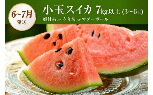 AG131【令和8年度出荷分】 全2回 厳選！夏の人気フルーツ定期便