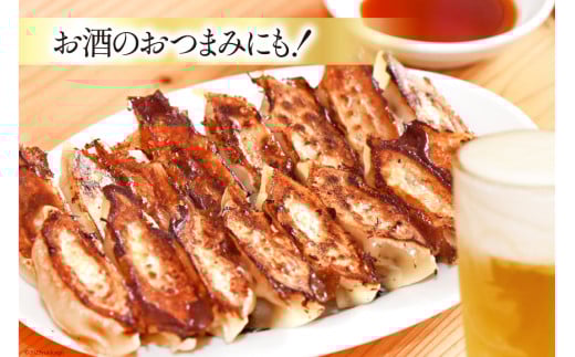 【AH019】 焼くだけ！一か月に1500個売り上げる餃子 45個（15個×3パック）