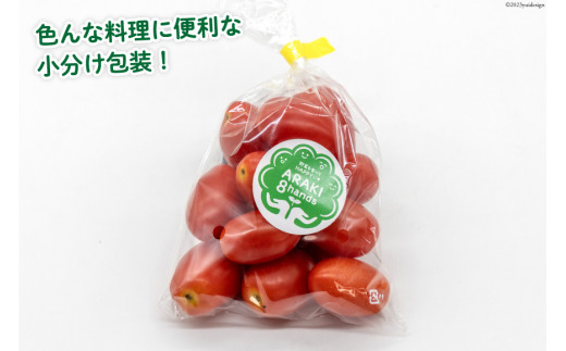 AH067【小分けでうれしい♪】アイコトマト2.4kg（200g×12袋）