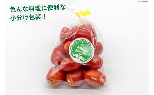 AH068【小分けでうれしい♪】アイコトマト4.8kg（200g×24袋）