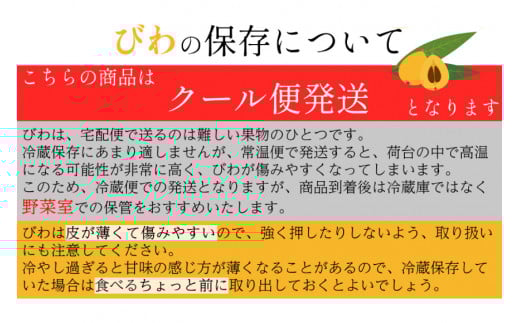 AH093 【期間限定発送】長崎県産 ハウスびわ 約500g 化粧箱入り [ フルーツ 果物 くだもの びわ ビワ 枇杷 数量限定 季節限定 初夏 冷蔵 長崎県 島原市 ]