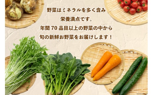 AI022【10～5月限定出荷】こむたの旬の野菜つめあわせ(8～10品目)おまかせ M セット 【 野菜 やさい 旬 種類 人気 オススメ 新鮮 詰め合わせ こむた 小無田 青果 長崎県 島原市 】