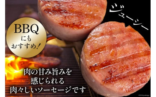 AI065 総重量4kgの特大！ 島原ハム ポークソーセージ800g×5本 セット [ ハム ソーセージ ウインナー 肉 豚肉 惣菜 国産 BBQ バーベキュー 焼き肉 長崎県 島原市 ]