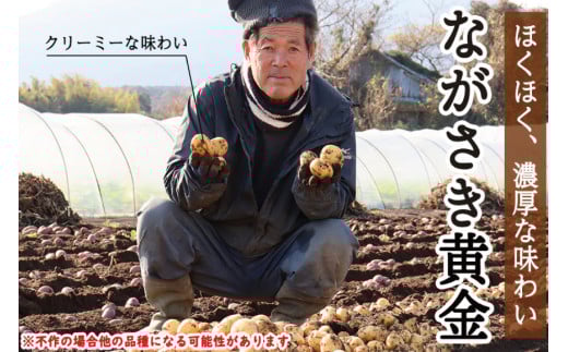 AI118 じゃがいも ＆ 人参 セット ( ながさき黄金＆冬人参 ) 約 5kg [ 野菜 野菜セット 詰め合わせ ジャガイモ にんじん ニンジン 5kg 5キロ 黄金 贅沢宝庫 長崎県 島原市 ]