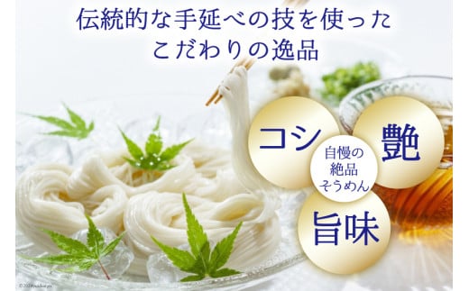 AI195 島原手延べ素麺 セット 素麺 5束×3袋 麺つゆ 300ml 湧水 500ml×3本 [ そうめん 素麺 手延べ素麺 手延べそうめん 天然水 水 めんつゆ あごだし 長崎県 島原市 ]