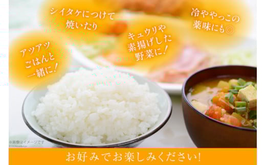 AI204 みそdeしょうが 100g 1個 [ 生姜 しょうが ショウガ 味噌 みそ お供 薬味 保存料 添加物 不使用 国産 松本農園 人作 長崎県 島原市 ]