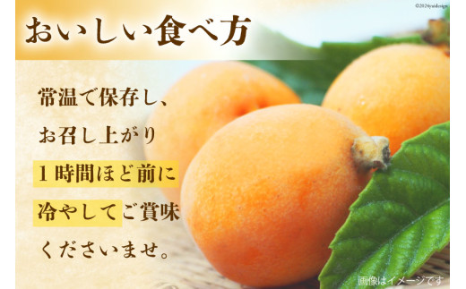 AI209【期間限定発送】赤秀 長崎 びわ 500g 温室ハウス栽培 長崎早生 [フルーツ 枇杷 ビワ 果物 化粧箱入り 季節限定 99アイランドファーム 長崎県 島原市 ]