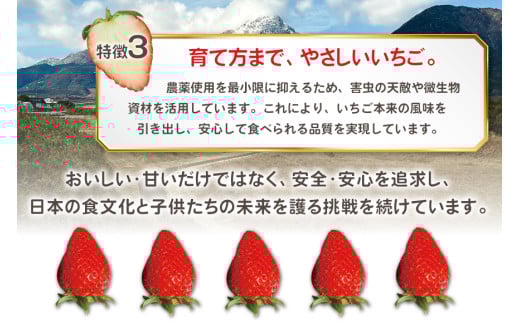AI377 【2025年12月発送開始】いちご ほおばるベリー 約 1kg 250g 4パック [ 苺 イチゴ 1キロ 甘い おいしい あまい フルーツ 果物 出田農円 長崎県 島原市]