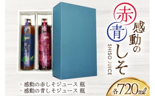 AJ308 感動の赤しそジュース 瓶 720ml 感動の青しそジュース 瓶 720ml [ しそジュース 紫蘇ジュース 赤しそ 青しそ 長崎県 島原市 ]