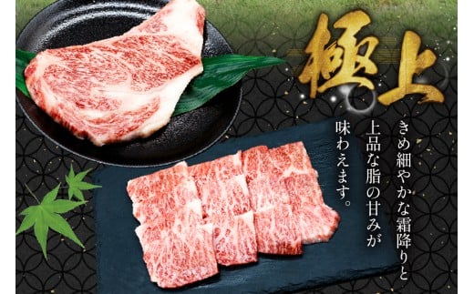 AJ465 長崎和牛 ロースステーキ バラ 焼肉 セット 500g [ 牛肉 肉 和牛 お肉 焼肉 焼き肉 ロース バラ肉 ステーキ トライアルストアーズ 長崎県 島原市 ]