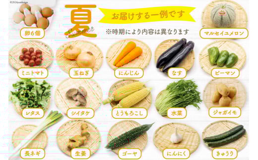 BA025 野菜・フルーツ・卵 旬のおまかせセット （野菜･フルーツ13～16品目、卵6玉）[ 野菜セット 野菜 フルーツ 果物 たまご 鶏卵 産地直送 厳選 長崎県 島原市 送料無料]