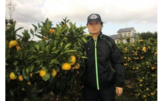 BC002 森崎果樹園自慢のスイートスプリング（10kg）[みかん ミカン 旬 10キロ 長崎県 島原市]