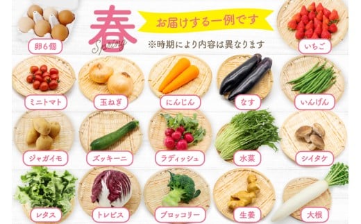 BD158 【3回定期便】 野菜・フルーツ・卵 旬のおまかせセット （野菜･フルーツ13～16種、卵6玉） [ 野菜セット 野菜 フルーツ 果物 たまご 鶏卵 産地直送 厳選 長崎県 島原市 送料無料]
